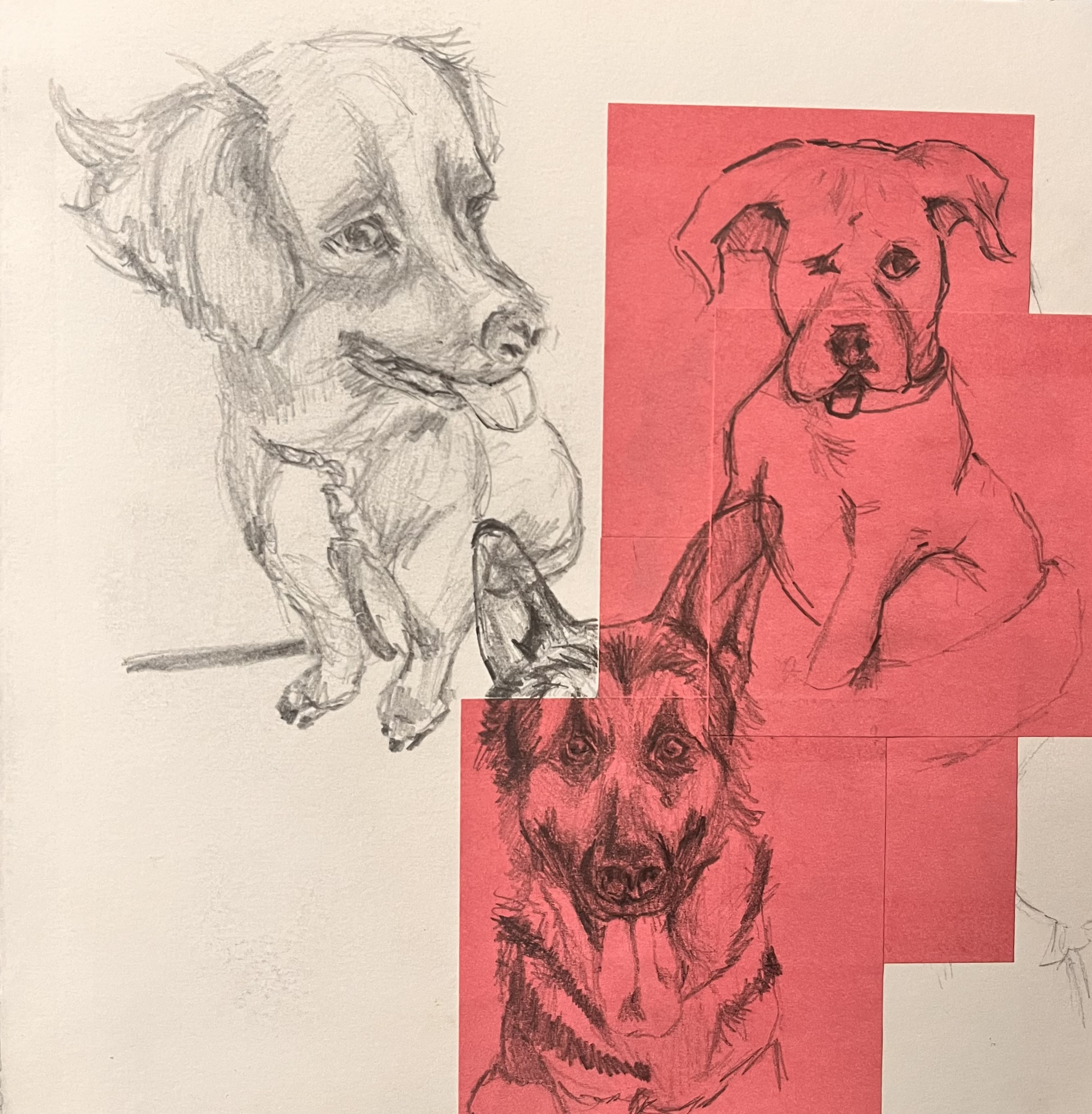 drawing of 3 dogs